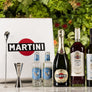 KIT MARTINI NEGRONI SBAGLIATO COCKTAIL & BARWARE
